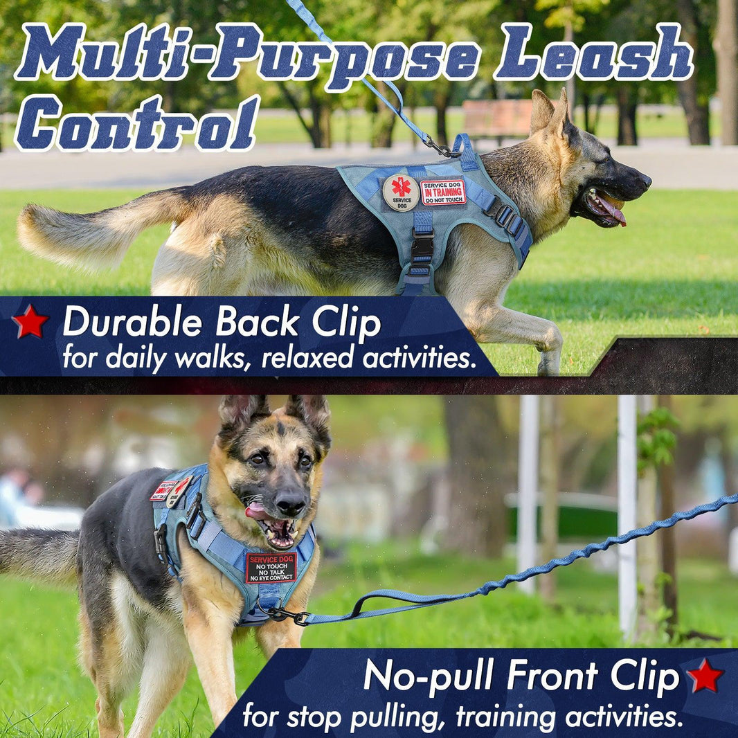 PAWTRENDER Mega Tactical Dog Harness - Blue