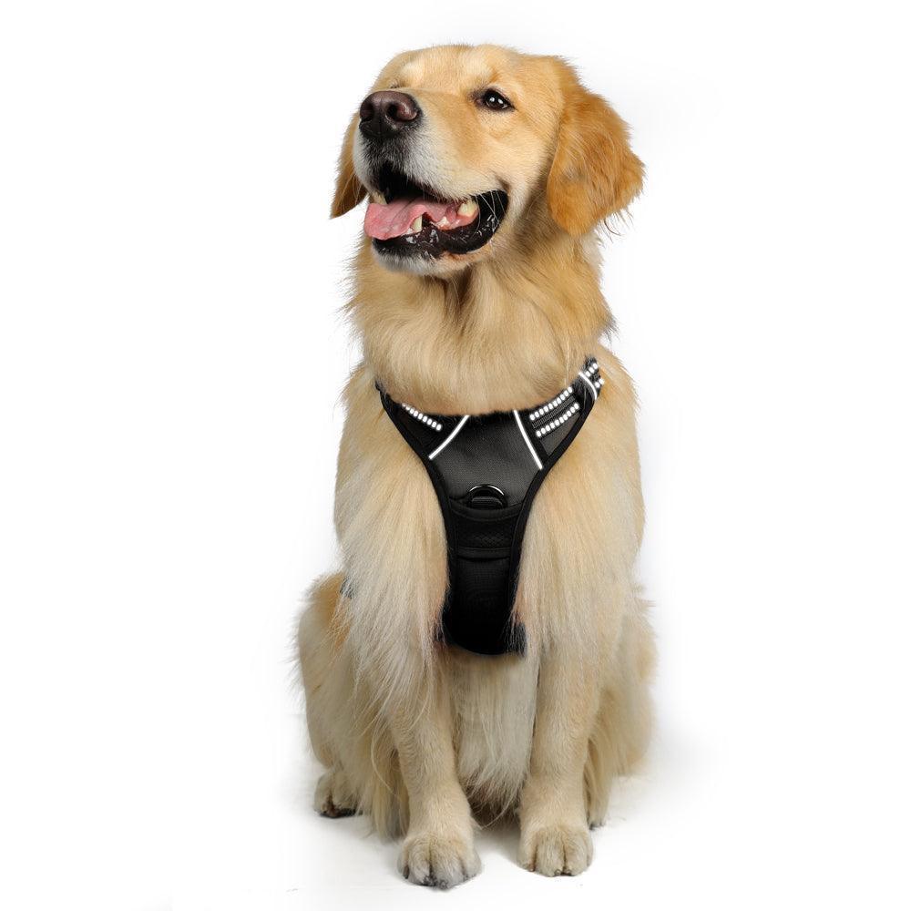 Classic Fit No Pull Dog Harness - Black