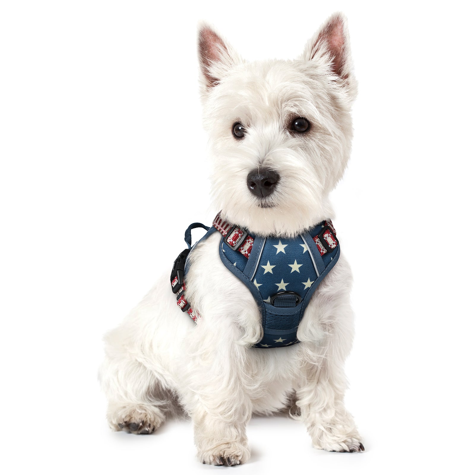 Urban Grid No Pull Dog Harness - Blue Star