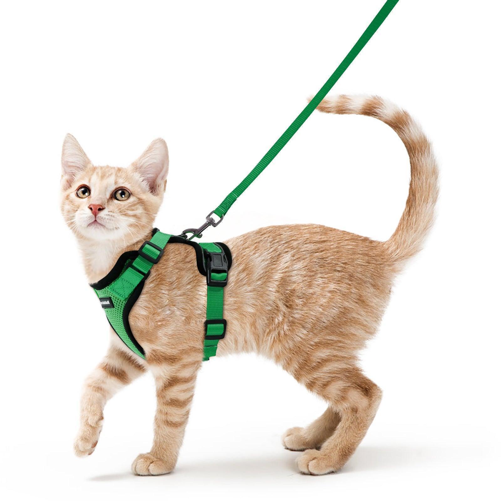 Rabbitgoo Adjustable Cat Harness and Leash Set - Grass Green
