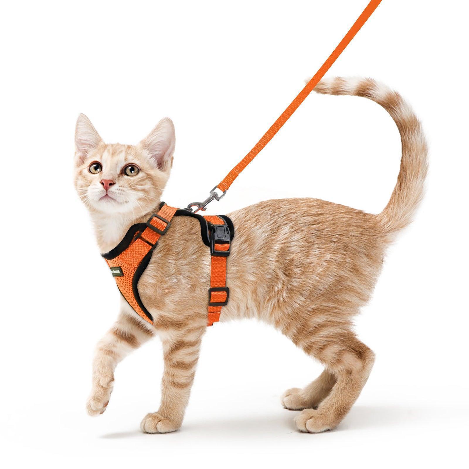 Rabbitgoo Adjustable Cat Harness and Leash Set - Orange