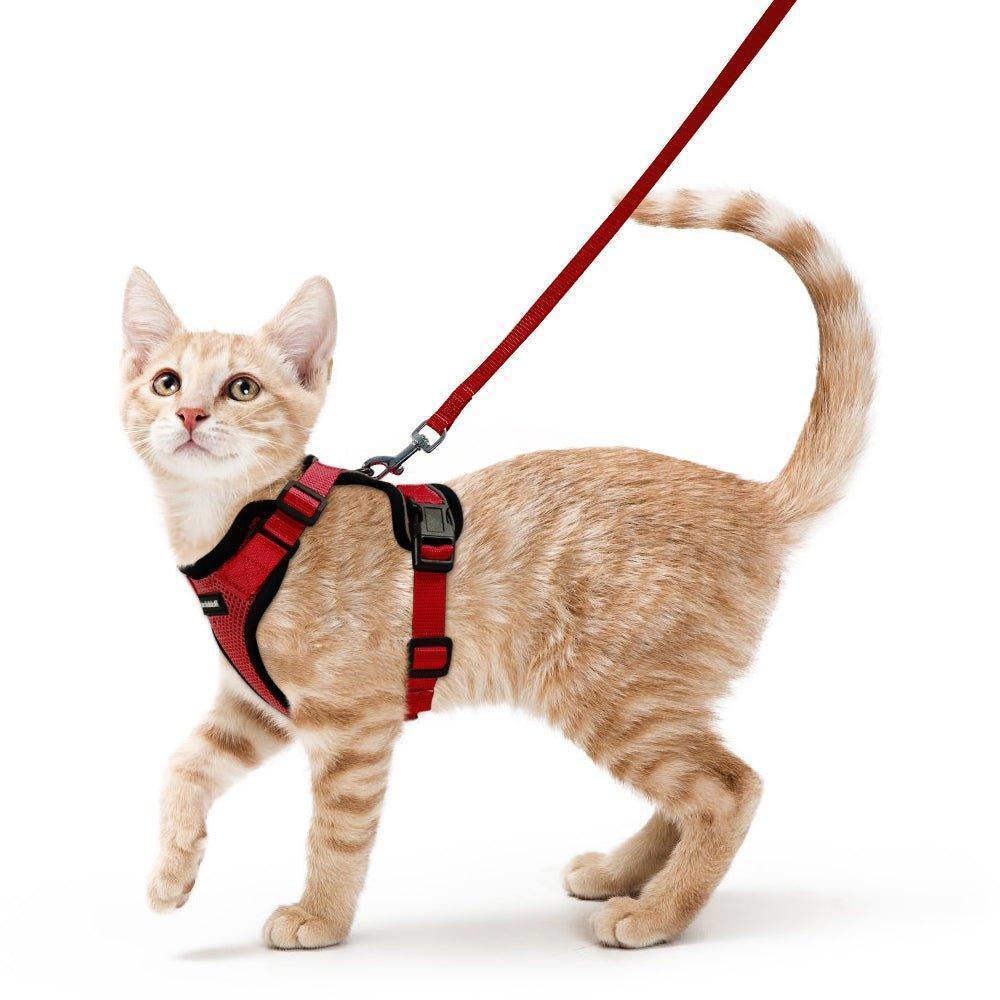 Rabbitgoo Adjustable Cat Harness and Leash Set - Red