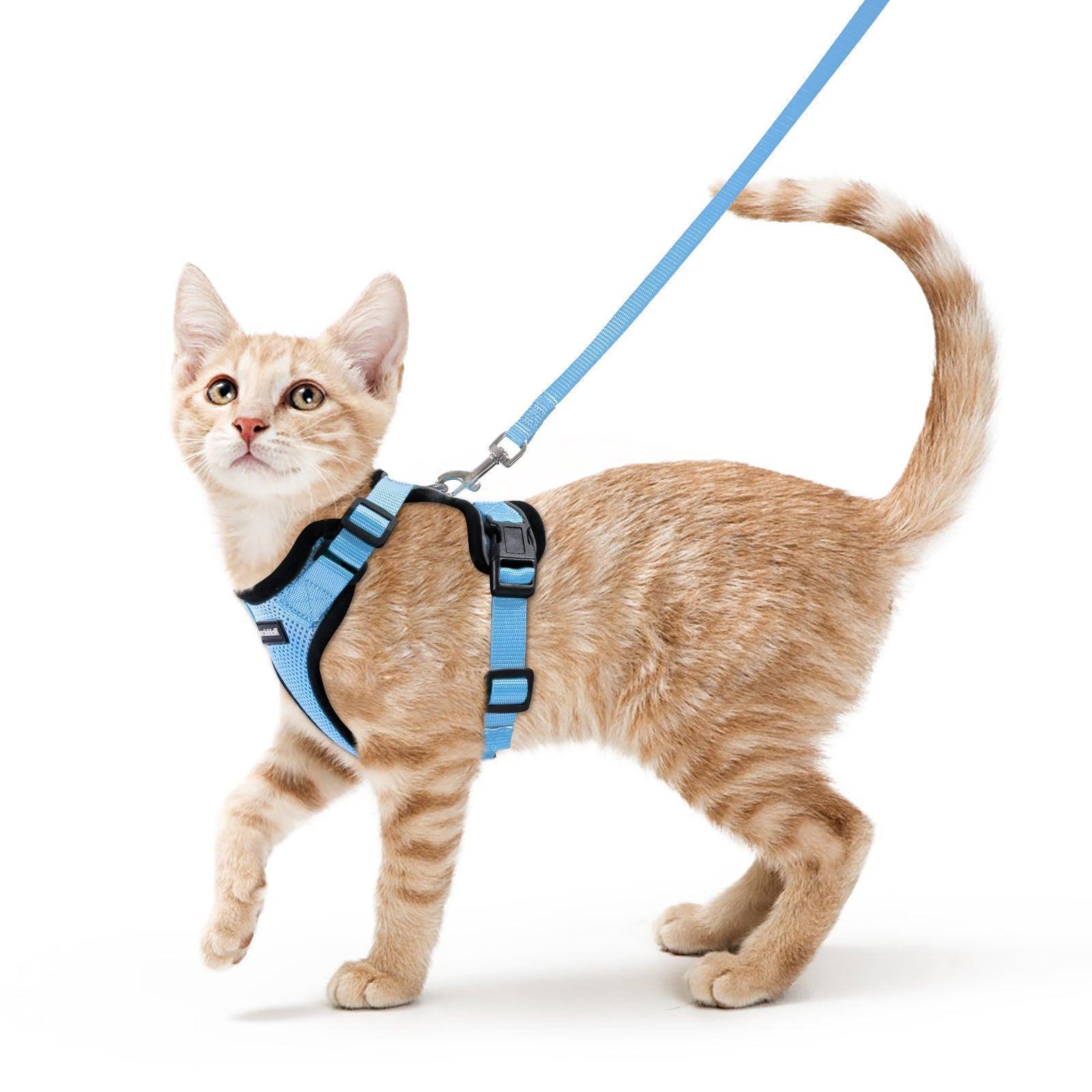 Rabbitgoo Adjustable Cat Harness and Leash Set - Light Blue