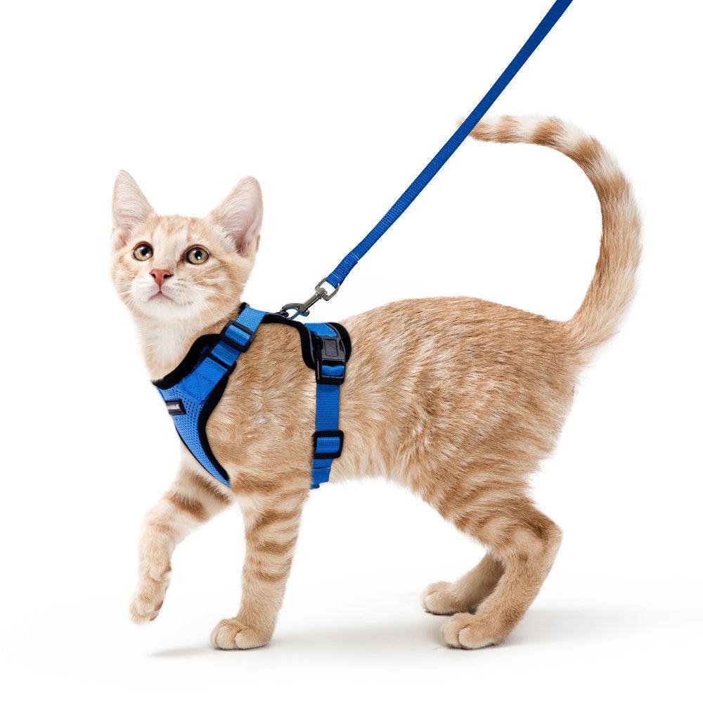 Rabbitgoo Adjustable Cat Harness and Leash Set - Navy Blue