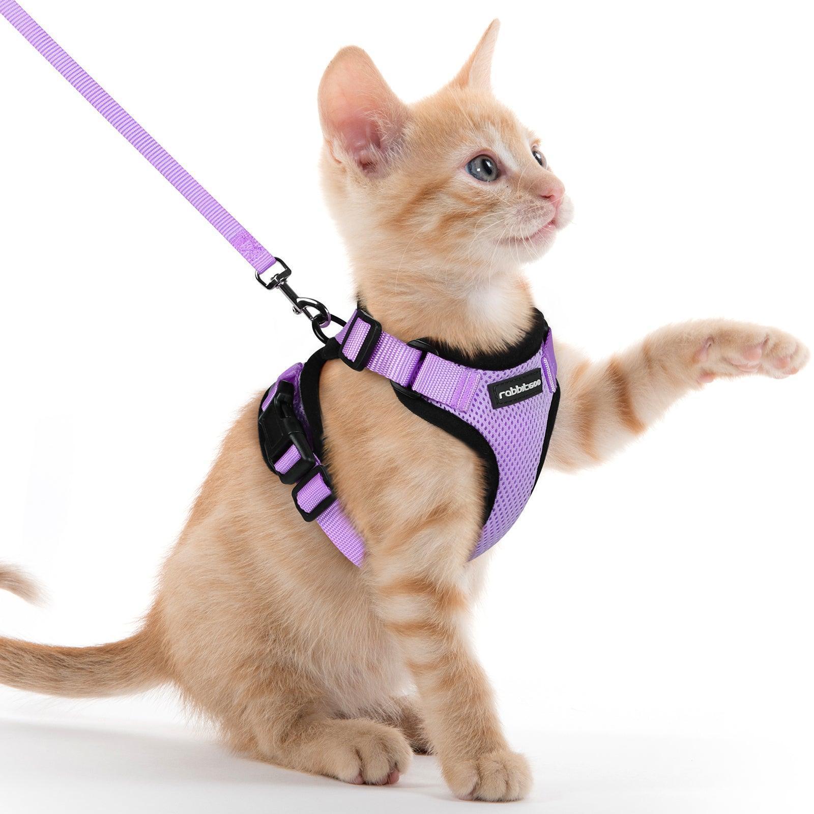 Rabbitgoo Adjustable Cat Harness and Leash Set - Light Purple