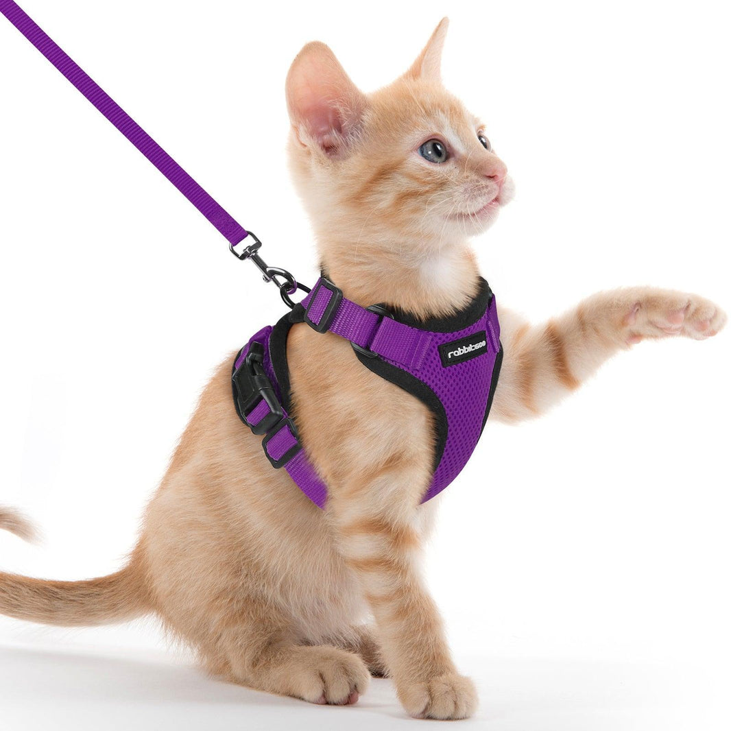 Rabbitgoo Classic Adjustable Cat Harness and Leash Set - Purple