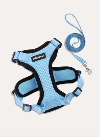Rabbitgoo Adjustable Cat Harness and Leash Set - Light Blue