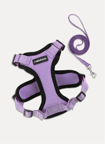 Rabbitgoo Adjustable Cat Harness and Leash Set - Light Purple