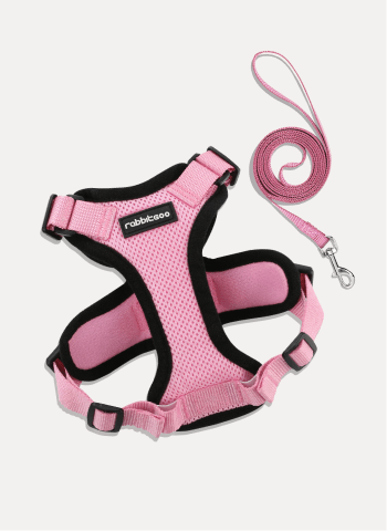 Rabbitgoo Adjustable Cat Harness and Leash Set - Pink