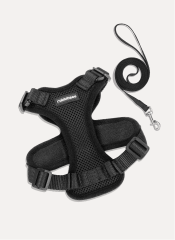 Rabbitgoo Adjustable Cat Harness and Leash Set - Black
