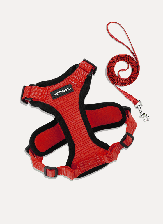 Rabbitgoo Classic Adjustable Cat Harness and Leash Set - Red
