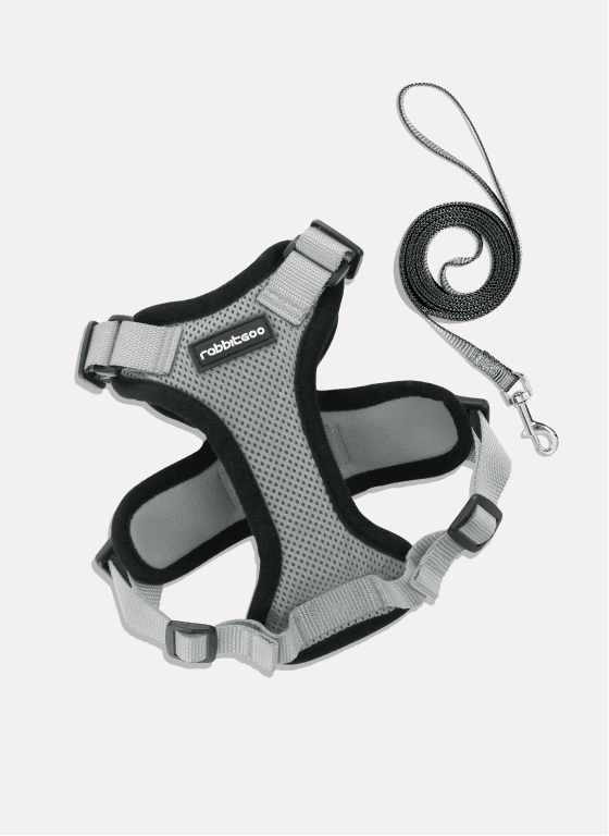 Rabbitgoo Adjustable Cat Harness and Leash Set - Grey