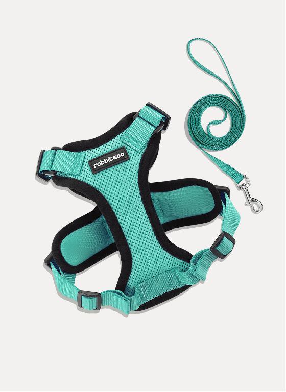 Rabbitgoo Adjustable Cat Harness and Leash Set - Emerald