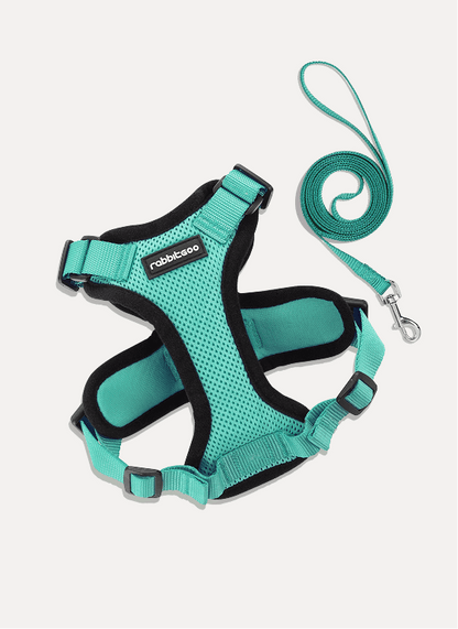 Rabbitgoo Adjustable Cat Harness and Leash Set - Emerald
