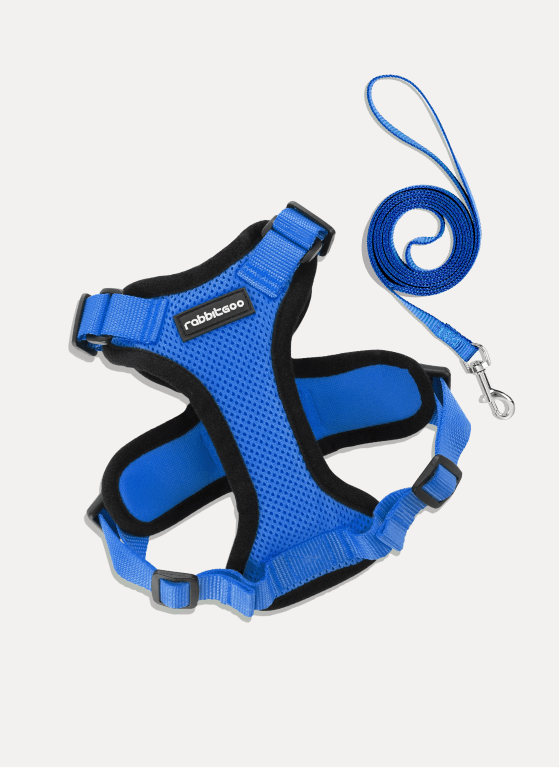 Rabbitgoo Adjustable Cat Harness and Leash Set - Navy Blue