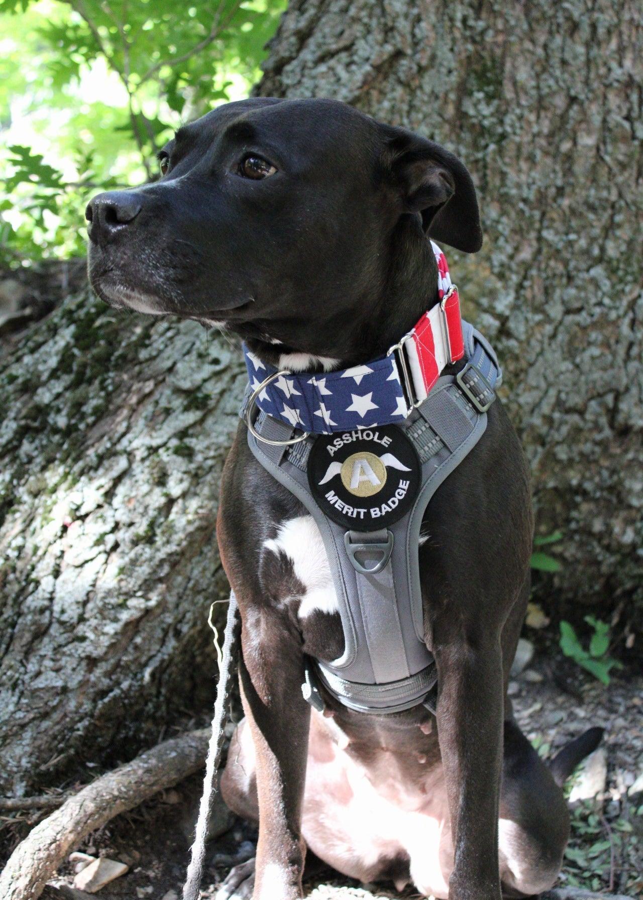 Escape Proof Tactical Dog Vest Harness - Grey