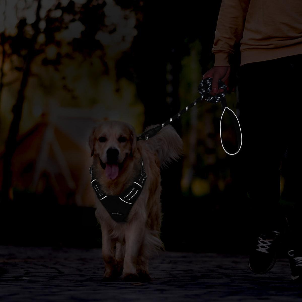 No Pull Dog Harness and Leash Set
