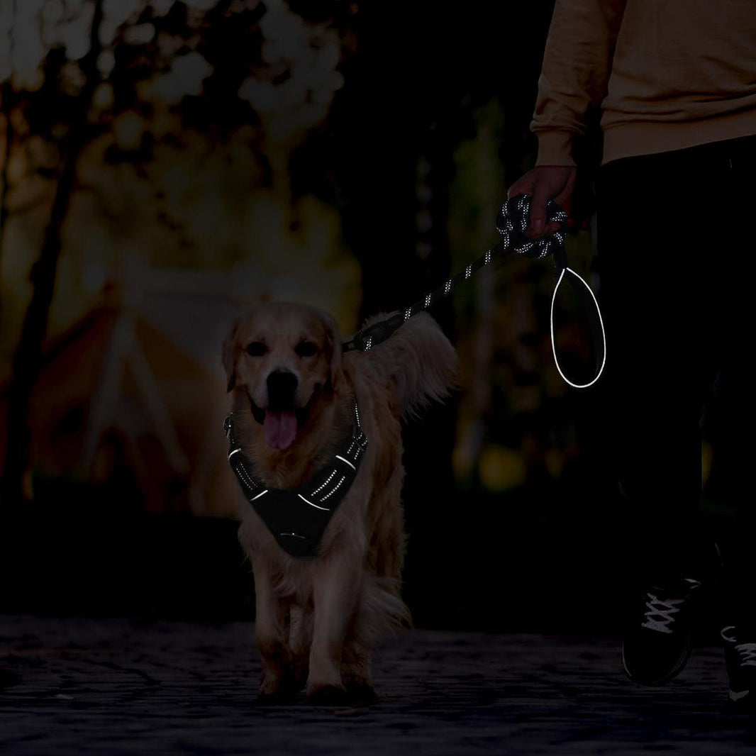 No Pull Dog Harness and Leash Set - Black / S