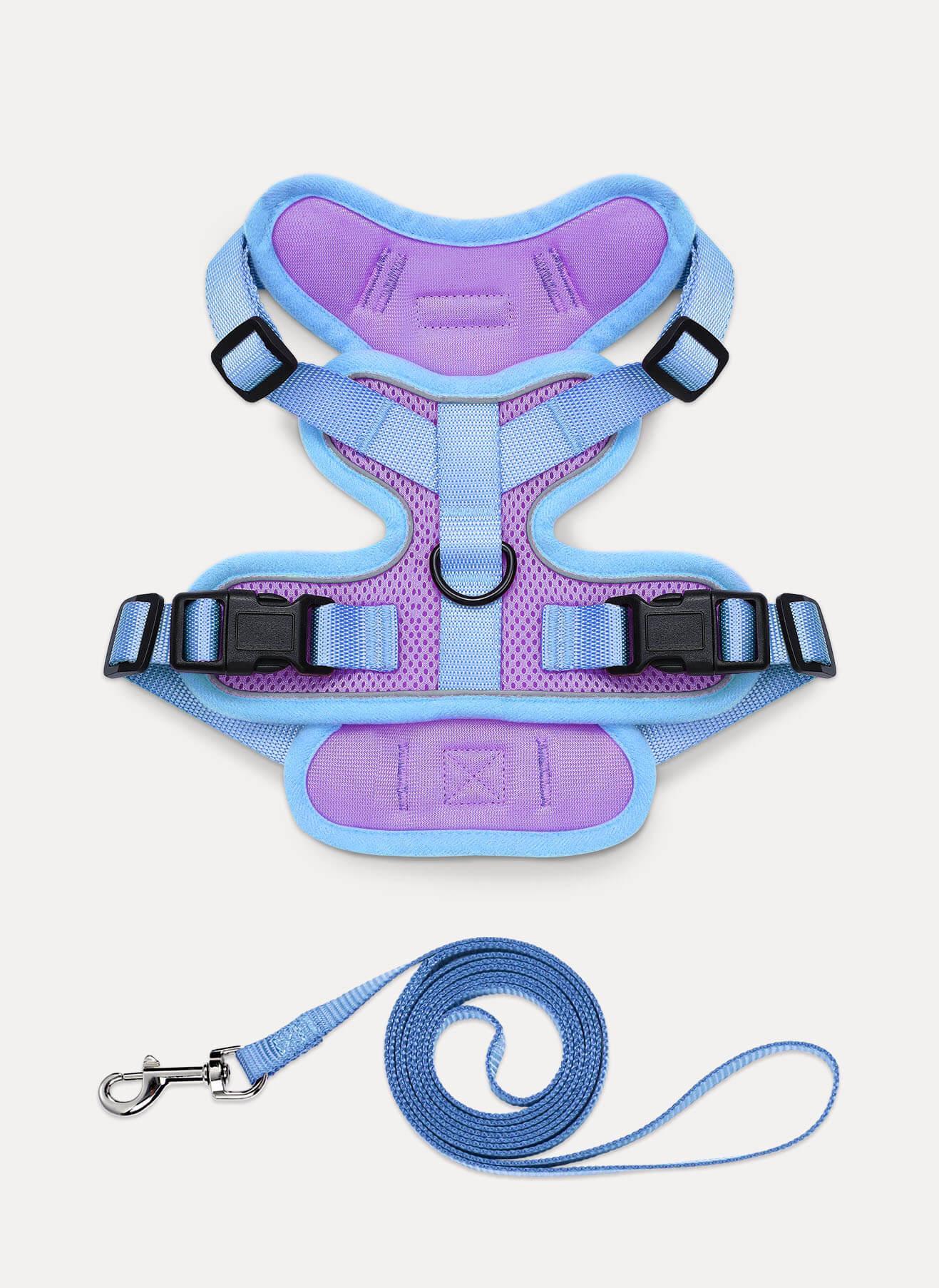 Rabbitgoo 2-tone Adjustable cat harness and leash set - Purple & Blue