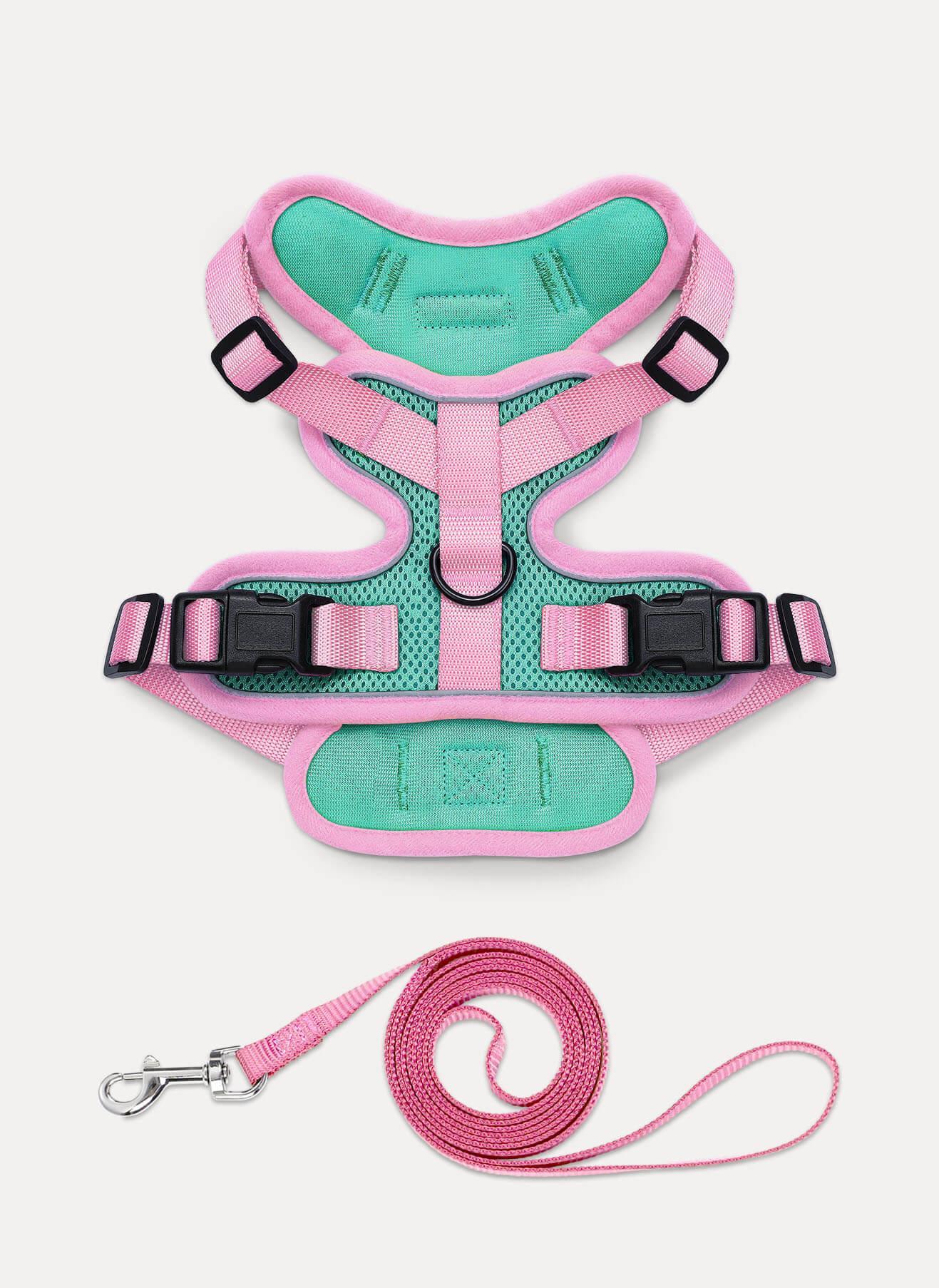 Rabbitgoo 2-tone Adjustable cat harness and leash set - Green & Pink