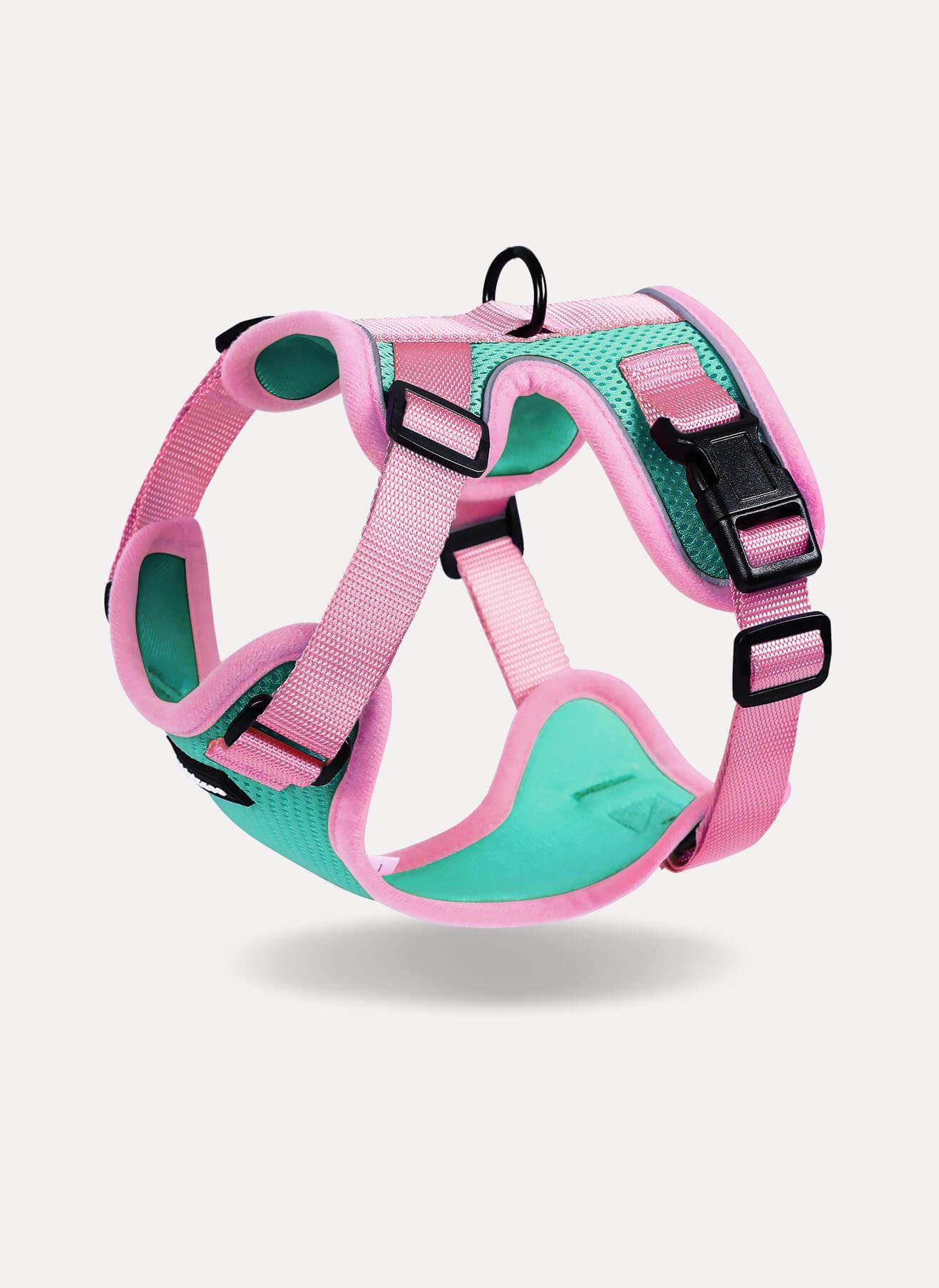 Rabbitgoo 2-tone Adjustable cat harness and leash set - Green & Pink