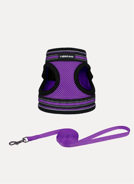 Rabbitgoo Escape Proof Cat Harness and Leash Set, with Reflective Strip - Purple