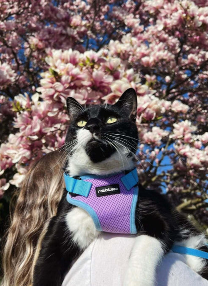 Rabbitgoo 2-tone Adjustable cat harness and leash set - Purple & Blue