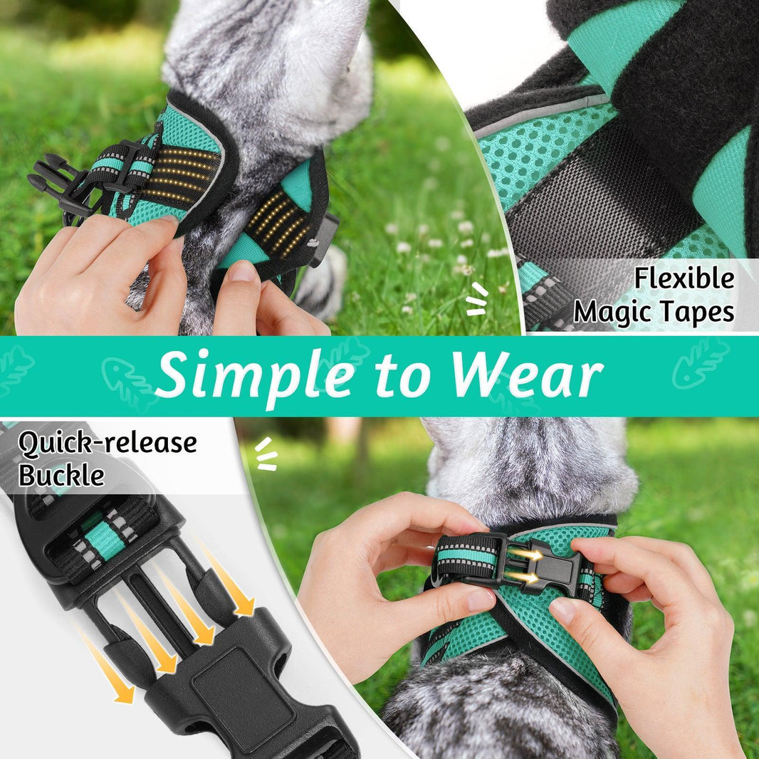 Rabbitgoo Escape Proof Cat Harness and Leash Set - Turquoise