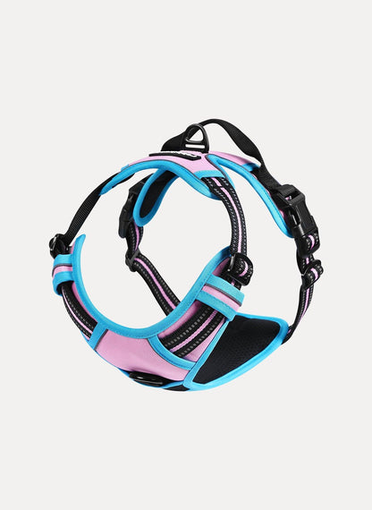 Rabbitgoo Multicolored No Pull Dog Harness - Pink & Blue