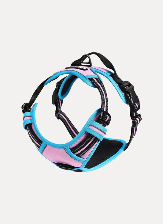 Rabbitgoo Multicolored No Pull Dog Harness - Pink & Blue