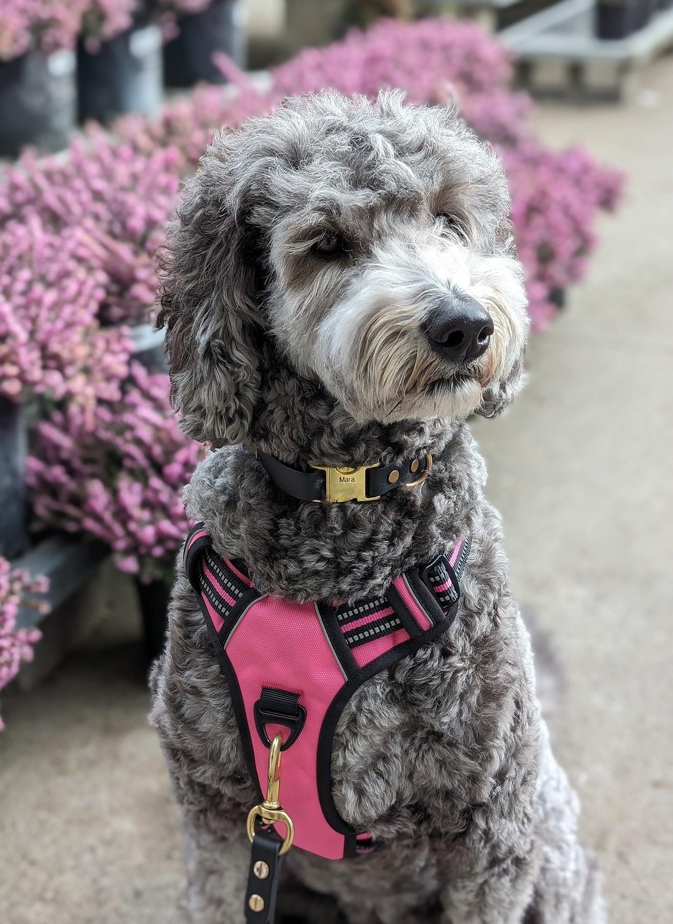 Adjustable Reflective Dog Harness with 3 Buckles - Pink