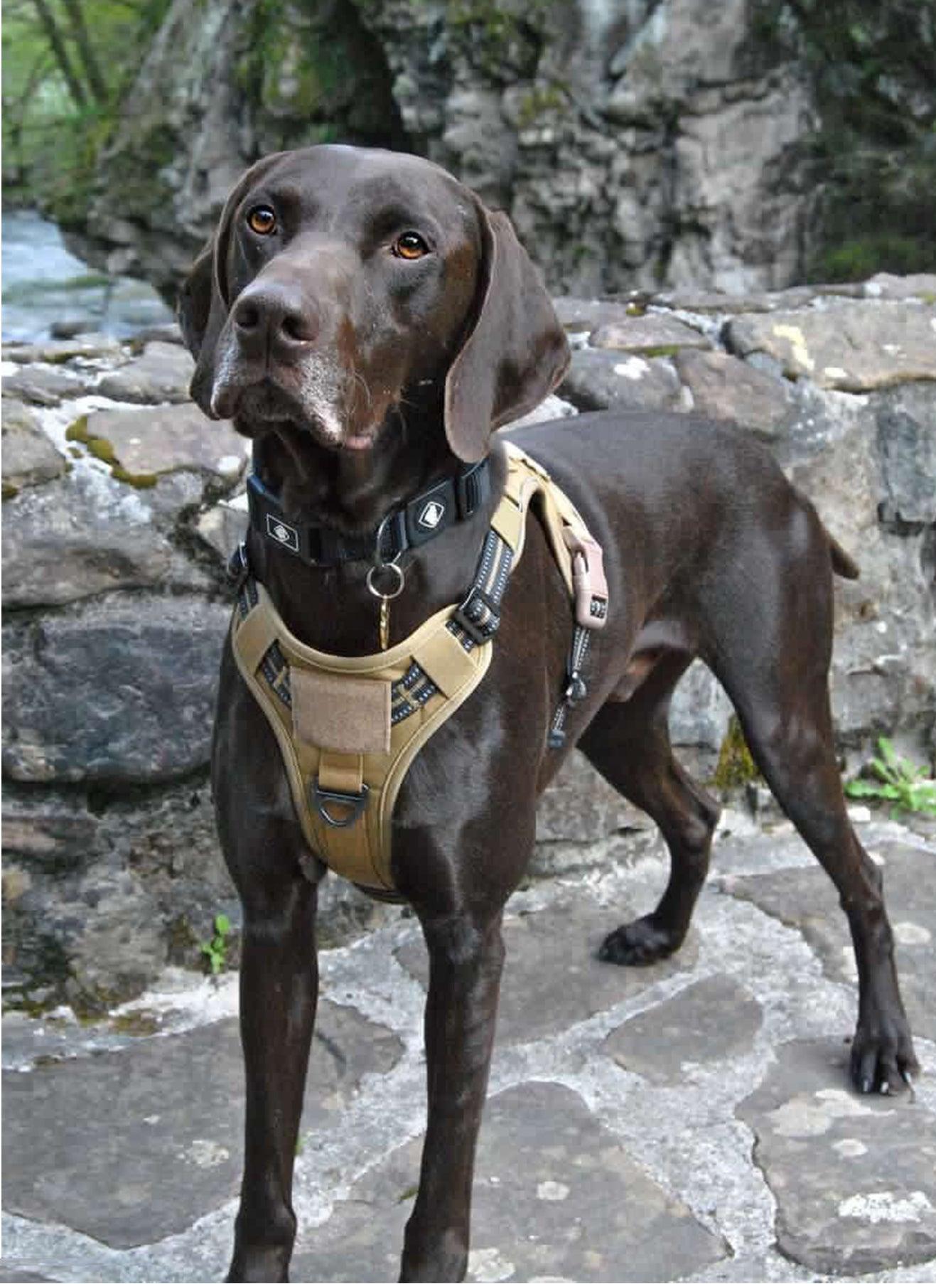 Escape Proof Tactical Dog Vest Harness - Tan 