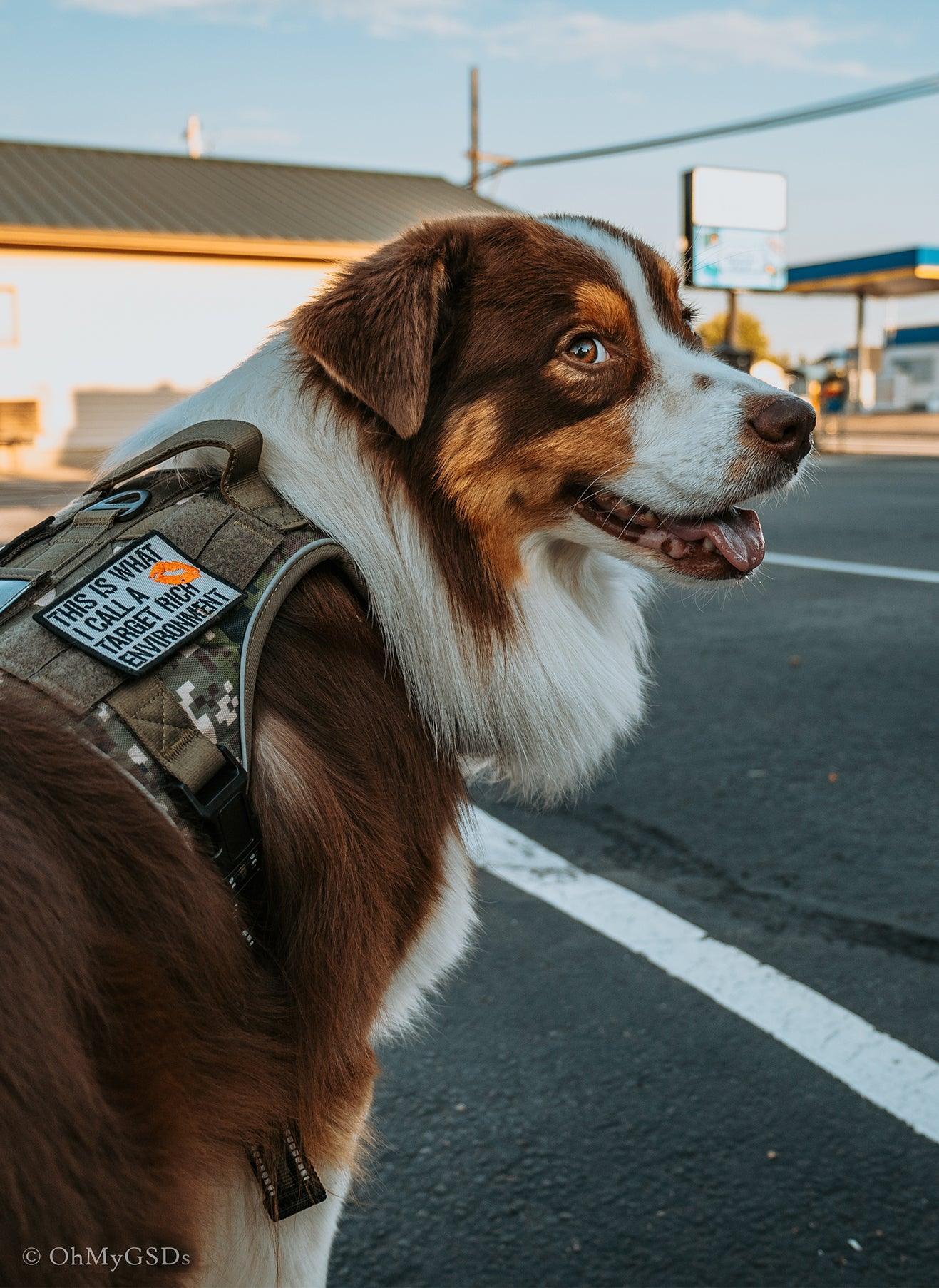 Camo Escape Proof Tactical Dog Harness - Brown camo