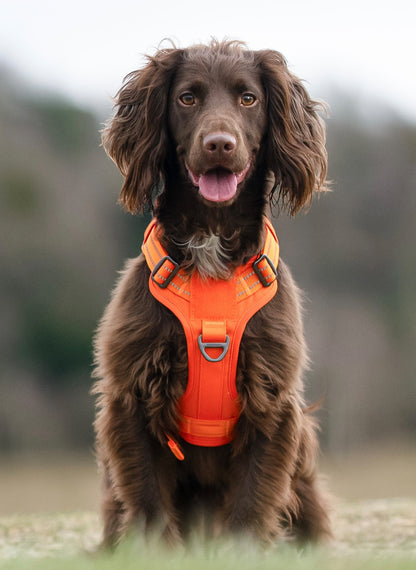 Colorful Escape Proof Tactical Dog Vest Harness - Orange 