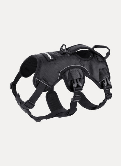 Rabbitgoo Large Dog Harness with Handle for Lifting - Black / M