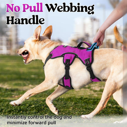 Rabbitgoo Large Dog Harness with Handle for Lifting - Purple