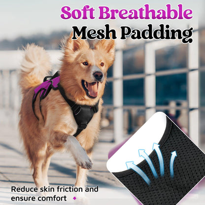 Rabbitgoo Large Dog Harness with Handle for Lifting - Purple