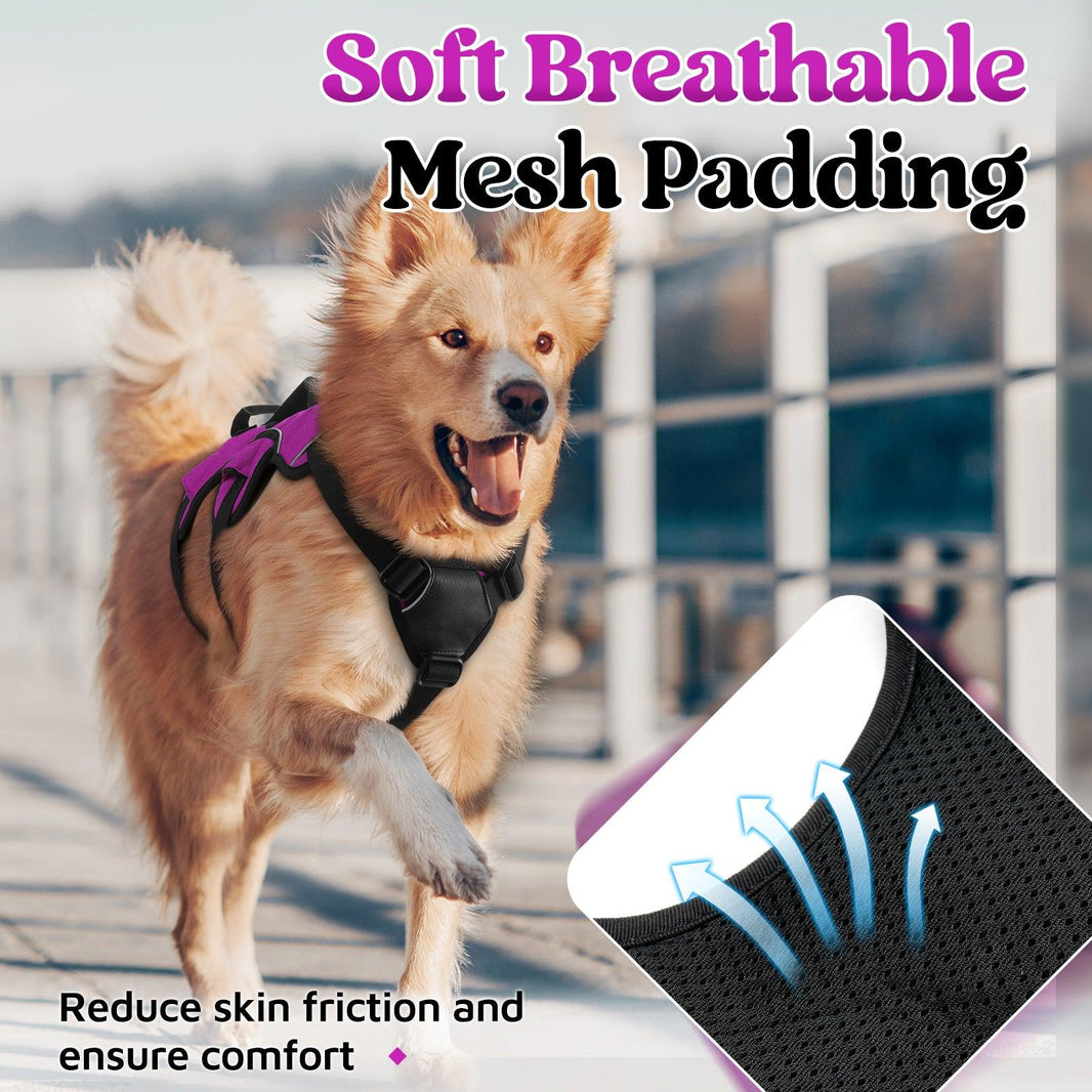 Rabbitgoo Large Dog Harness with Handle - Purple