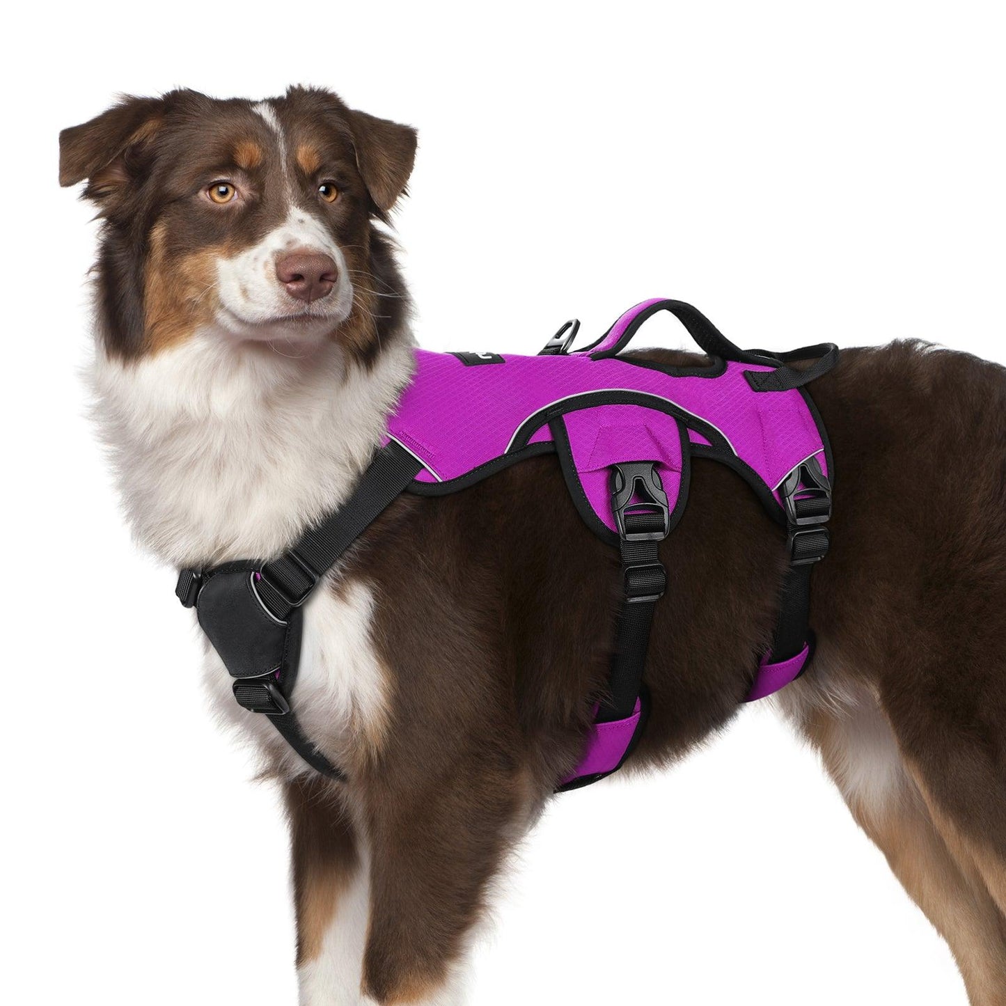 Rabbitgoo Large Dog Harness with Handle for Lifting - Purple