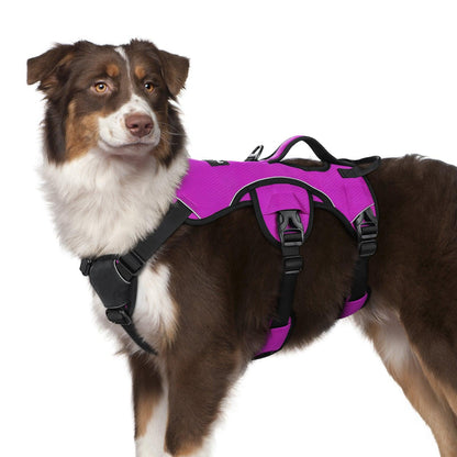 Rabbitgoo Large Dog Harness with Handle for Lifting - Purple