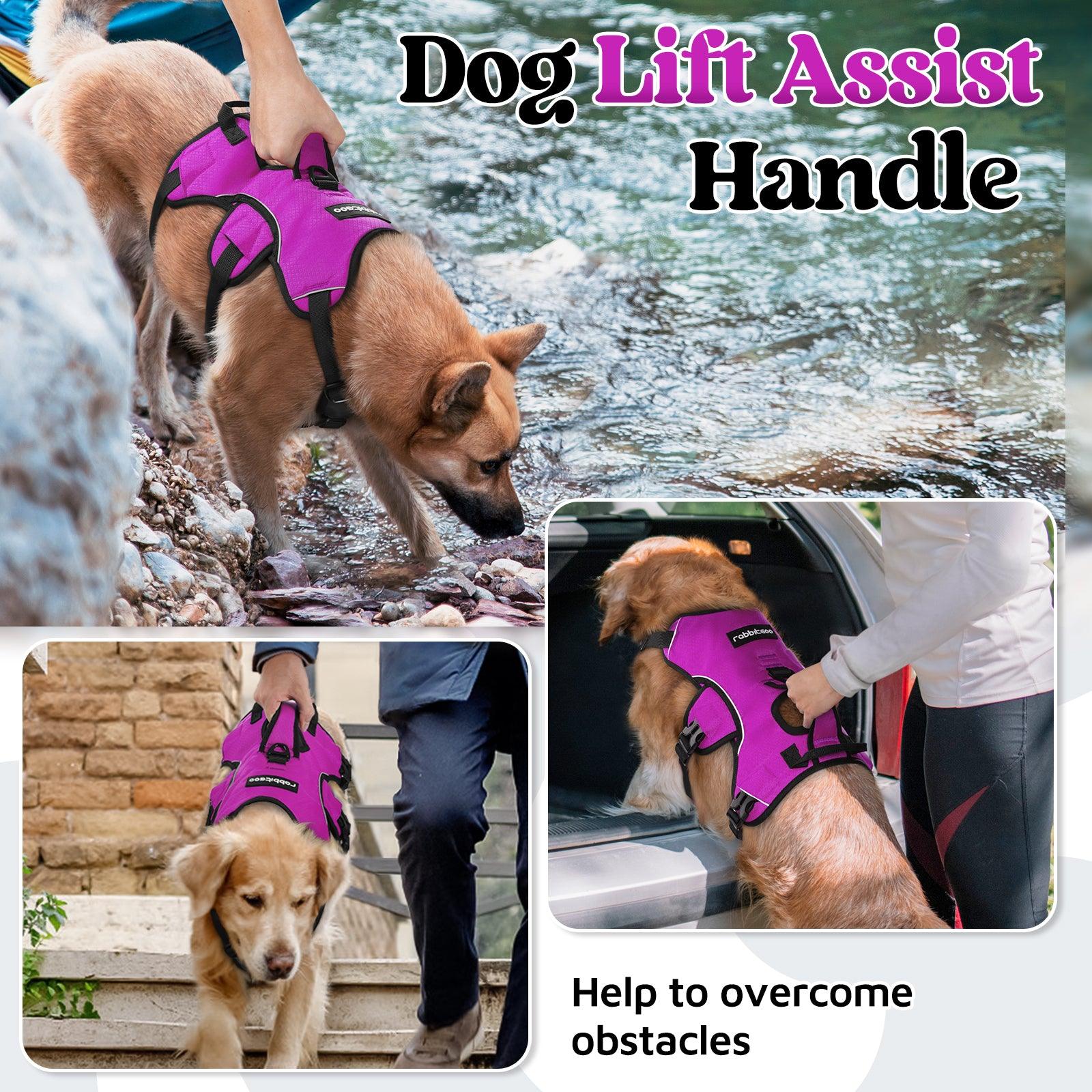 Rabbitgoo Large Dog Harness with Handle for Lifting - Purple