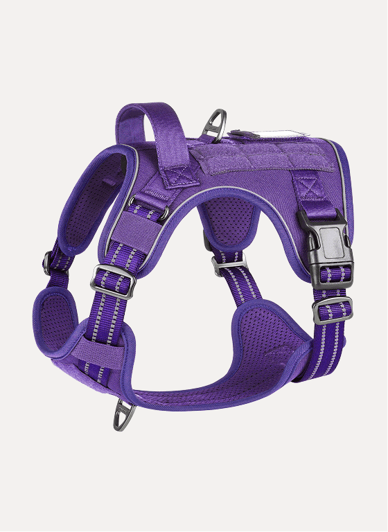 Colorful Escape Proof Tactical Dog Vest Harness - Purple 