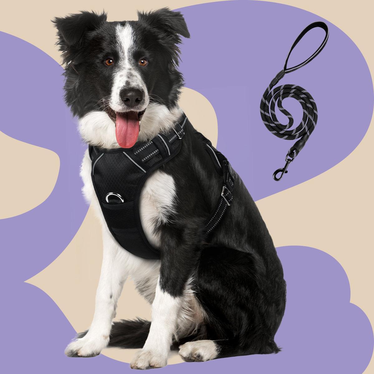 No Pull Dog Harness and Leash Set