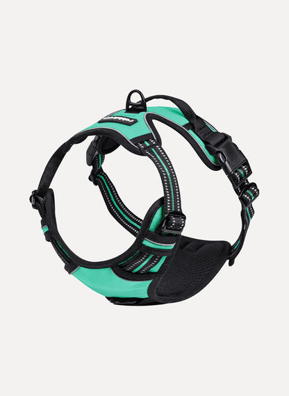 Rabbitgoo No Pull Dog Harness - Turquoise 