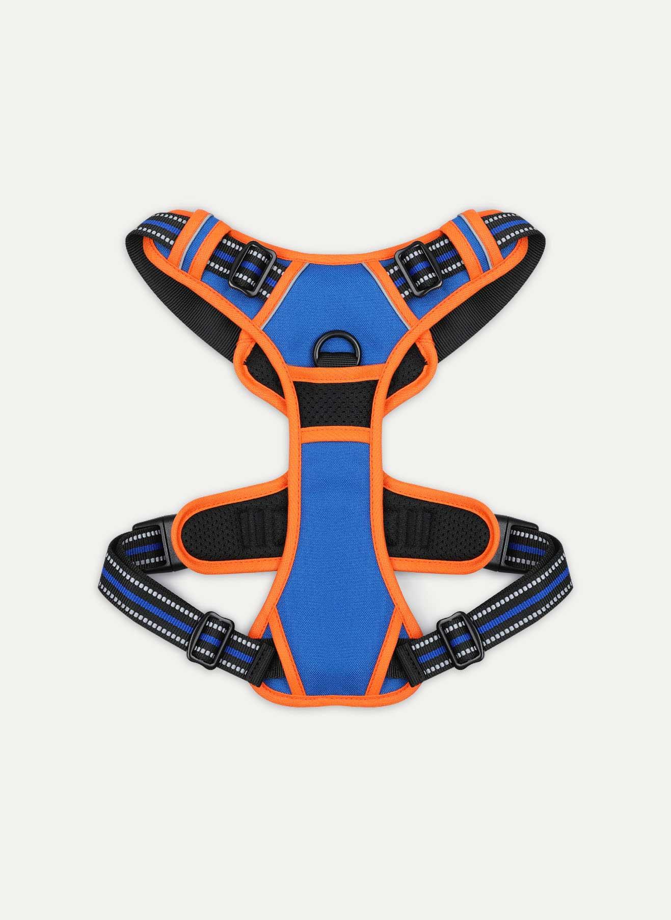 Rabbitgoo Multicolored No Pull Dog Harness - Orange & Blue