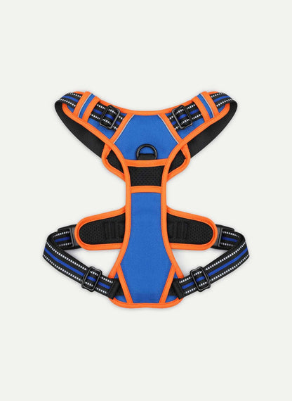 Rabbitgoo Multicolored No Pull Dog Harness - Orange & Blue
