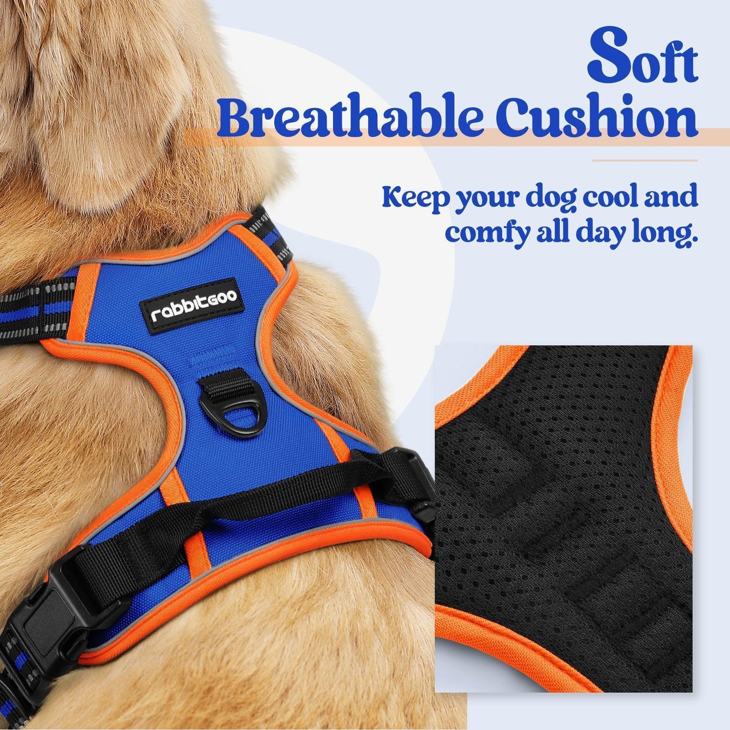 Rabbitgoo Multicolored No Pull Dog Harness - Orange & Blue