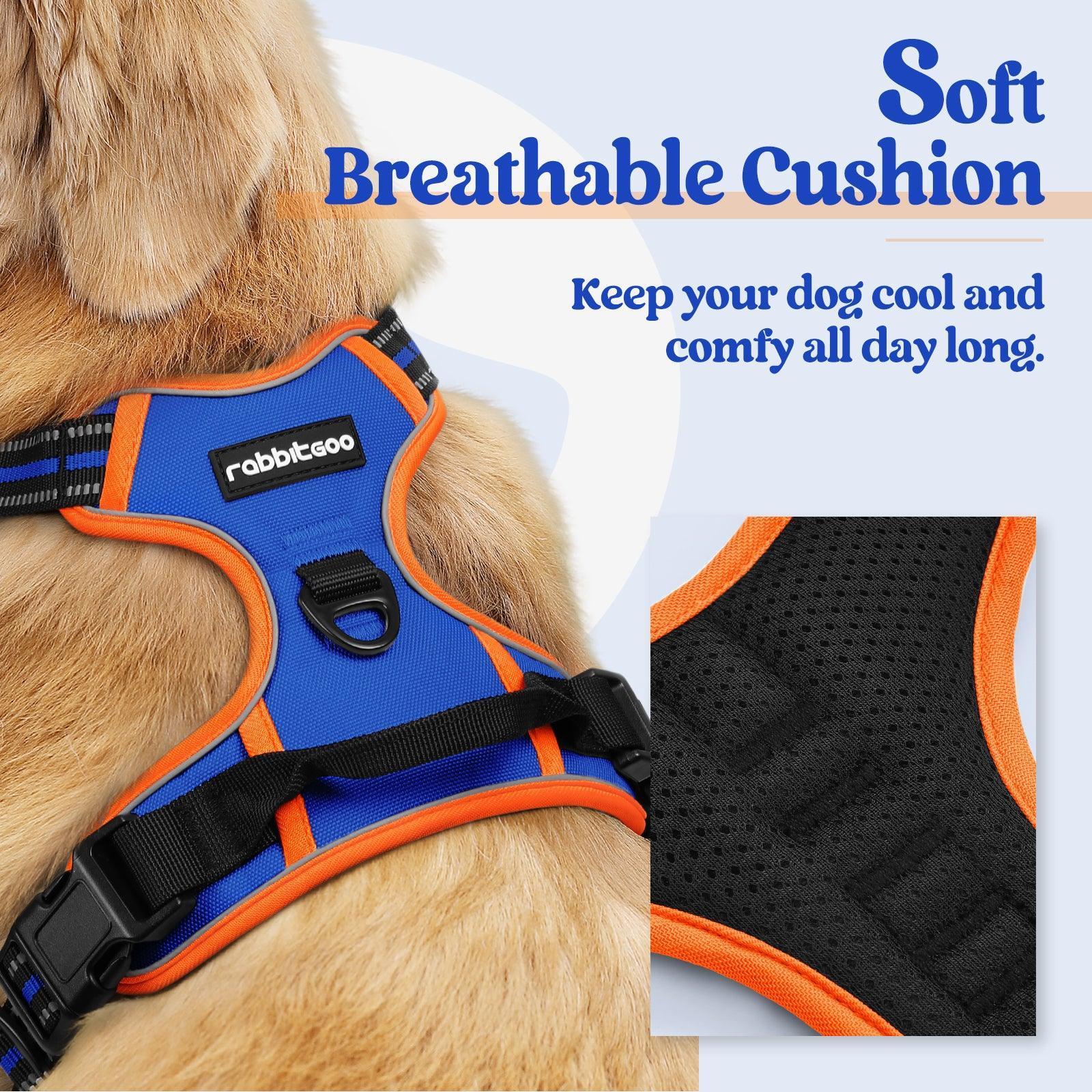 Rabbitgoo Multicolored No Pull Dog Harness - Orange & Blue