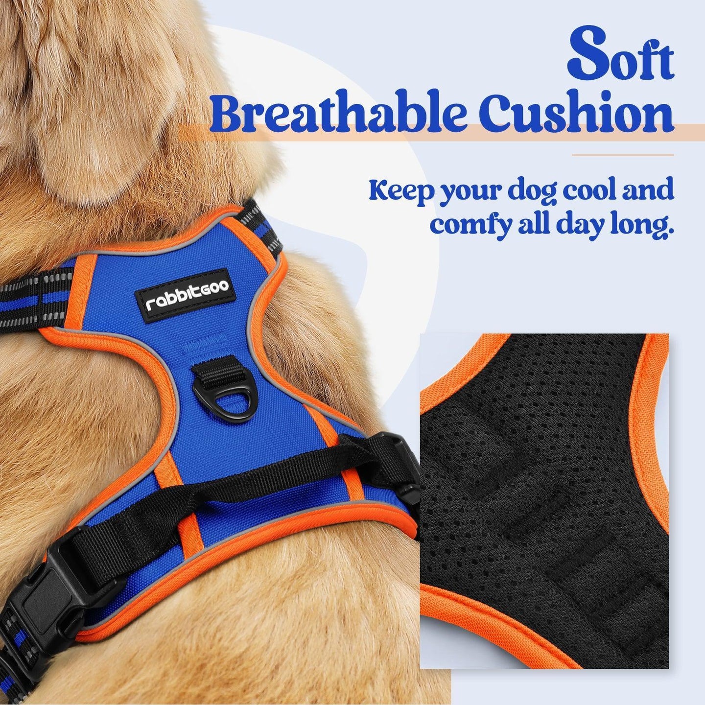 Rabbitgoo Multicolored No Pull Dog Harness - Orange & Blue