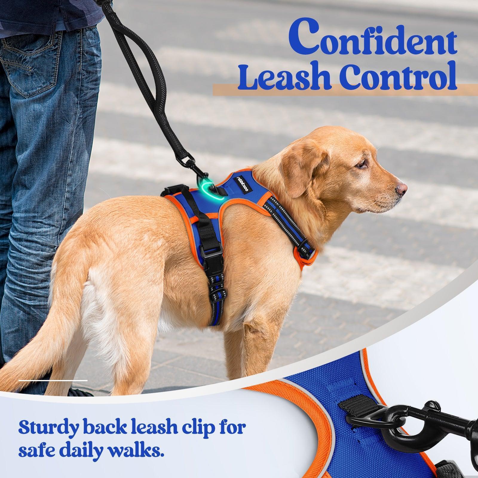 Rabbitgoo Multicolored No Pull Dog Harness - Orange & Blue